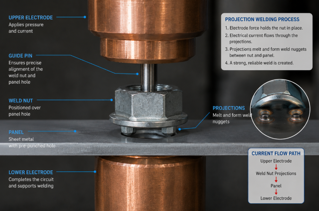 guide pin precisely locating weld nut over panel hole on projection welding electrode